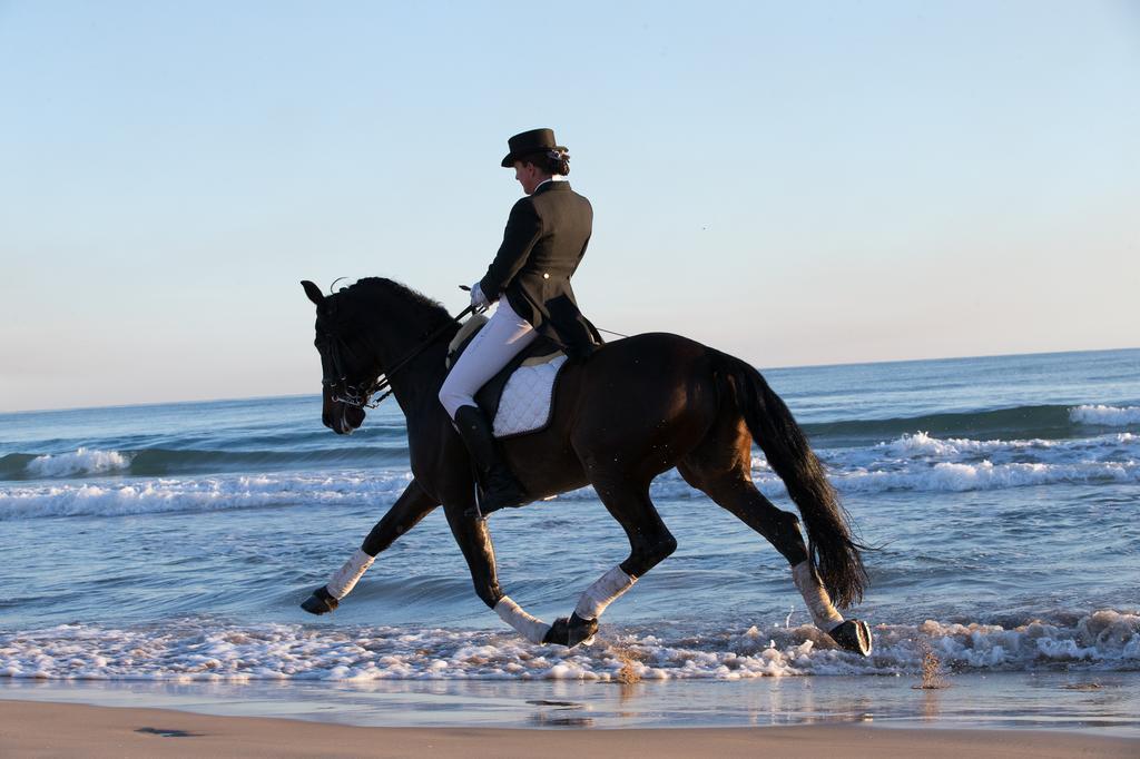 Caballos Els Poblets